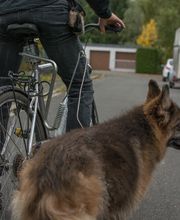 Fahrrad fahren mit dem. Was ist dabei zu berücksichtigen.