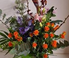 Floria Blumen Bild 12