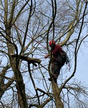 Jardin De La Côte image 20