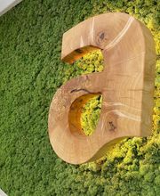 auric Hörcenter Rastatt Bild 8