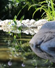 Marti Garten AG Bild 2