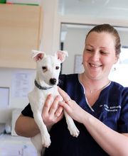 Clinique véterinaire des trois fontaines image 11