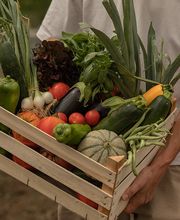 Les Paniers de Cérès image 4