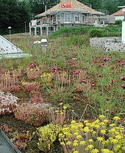 Rohner Bedachungen & Spenglerei AG Bild 2