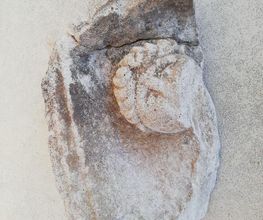 Art de Bâtir image 18