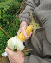 Stiftung Hofmatt Bild 13