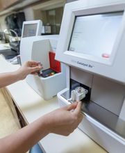 Toro Park Animal Hospital image 17