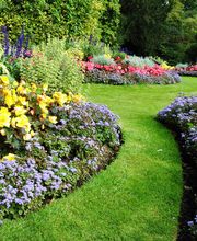 Gartenprojekte Ratio GmbH Bild 2