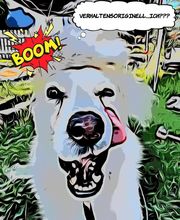 Glückliche Hundepfoten by Catrin Hendl-viel mehr als nur Hundetraining Bild 17