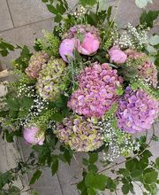 Blueme-egge Lyss Bild 1