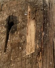 Solution 3D image 12