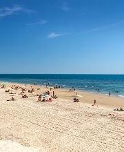 Occidental Cádiz imagen 17