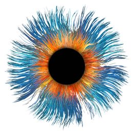 DOCKs Optik & Hörgeräte