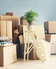 All Moves Are Us image 18