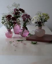 Chef George GmbH Bild 1