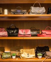 Gallery Professionale