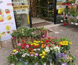 Bricomarché Grenoble image 3