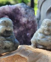 Coralie Shop image 9