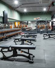 Basic-Fit imagen 2