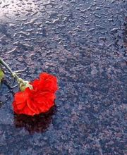 Desson Et Fils SARL image 2