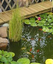 Prévet Paysages image 6