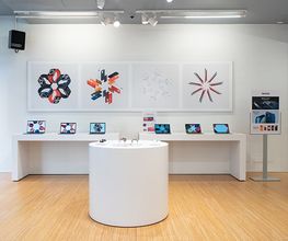 Gallery Cliente