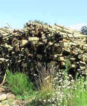 Forez Combustibles Eco image 4