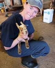 Independence Animal Hospital image 12