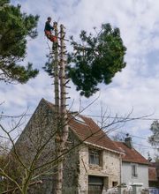 Rp Espaces Verts 77 image 7