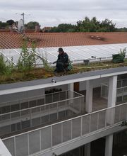 Trinkgeld GmbH Garten- & Landschaftsservice Bild 19