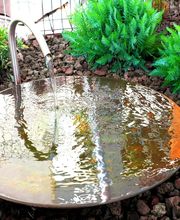 UNIVERT PAYSAGES image 16