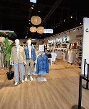 Vib's (Cache Cache - Bonobo - Bréal) image 6