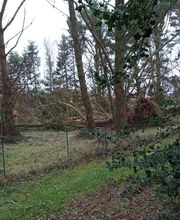 Du Haut des Cimes EURL image 9