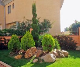 Jardinería FG imagen 19