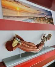 Physiotherapie und Osteopathie Andersch Bild 4