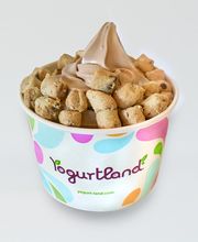 Yogurtland Monrovia image 20
