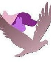 Duvivier Sophie image 2