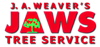 JA WEAVER'S JAWS TREE SERVICE, INC.
