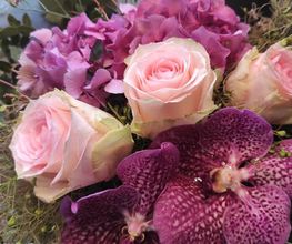 Fleurs Des Champs image 1