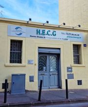 HECG image 8