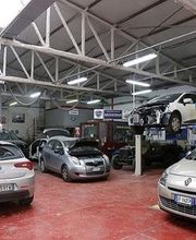 Gallery Cliente