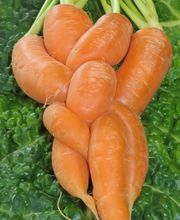 Plocher Schweiz GESUNDLEBEN DBB Othmar Hoesli-Falk Bild 10