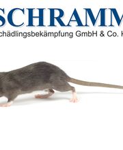 Schramm Schädlingsbekämpfung u. Desinfektion Bild 1