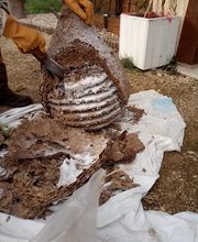 KH Anti-Nuisibles 3D image 7