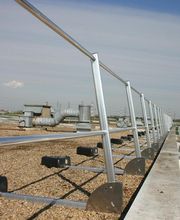 Anoxa image 2