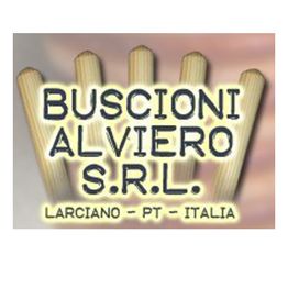 Buscioni Alviero S.r.l. logo