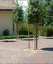 Leonelli & Fils Bild 4