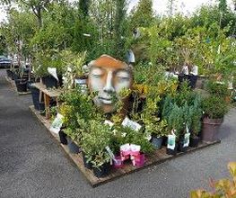 Gamm vert image 6