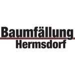 Bernhard Hermsdorf Baumfällungen