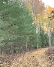 Woodlands Acres Campground image 6